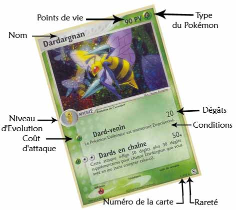 Guide Complet pour Devenir un Dresseur Émérite