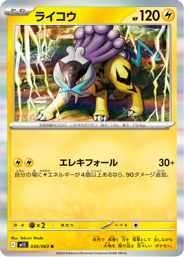 Vue agrandie de Raikou, carte 030/063