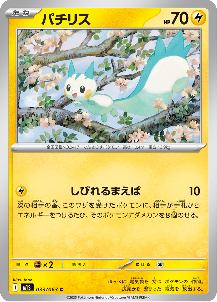 Vue agrandie de Pachirisu, carte 033/063