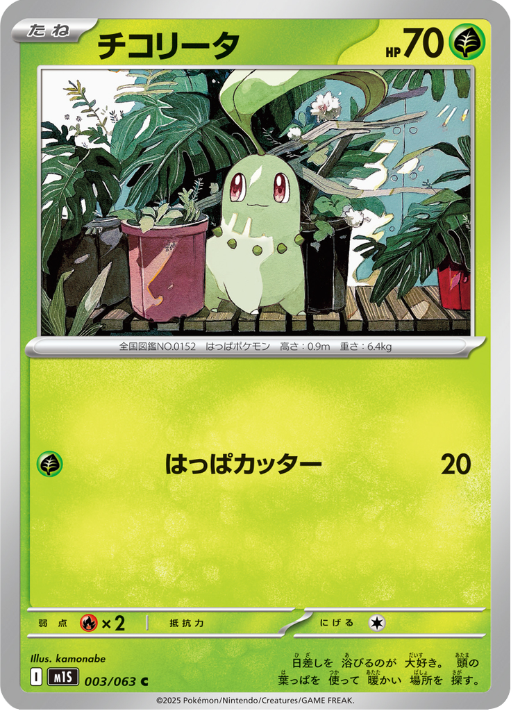 Vue agrandie de Chikorita, carte 003/063