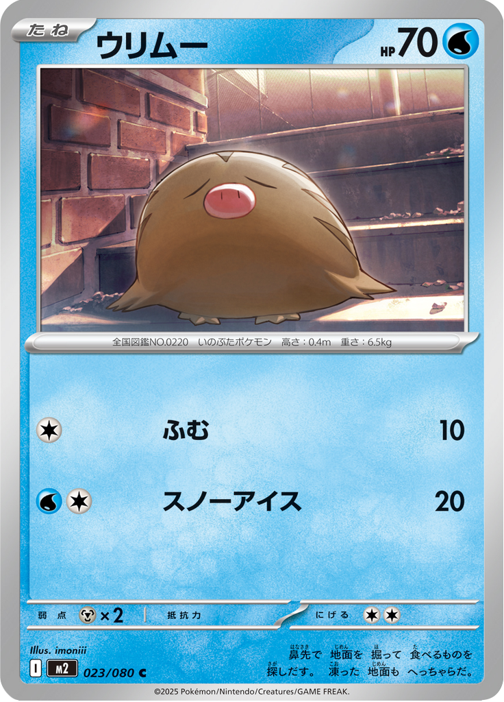 Vue agrandie de Swinub, carte 023/080