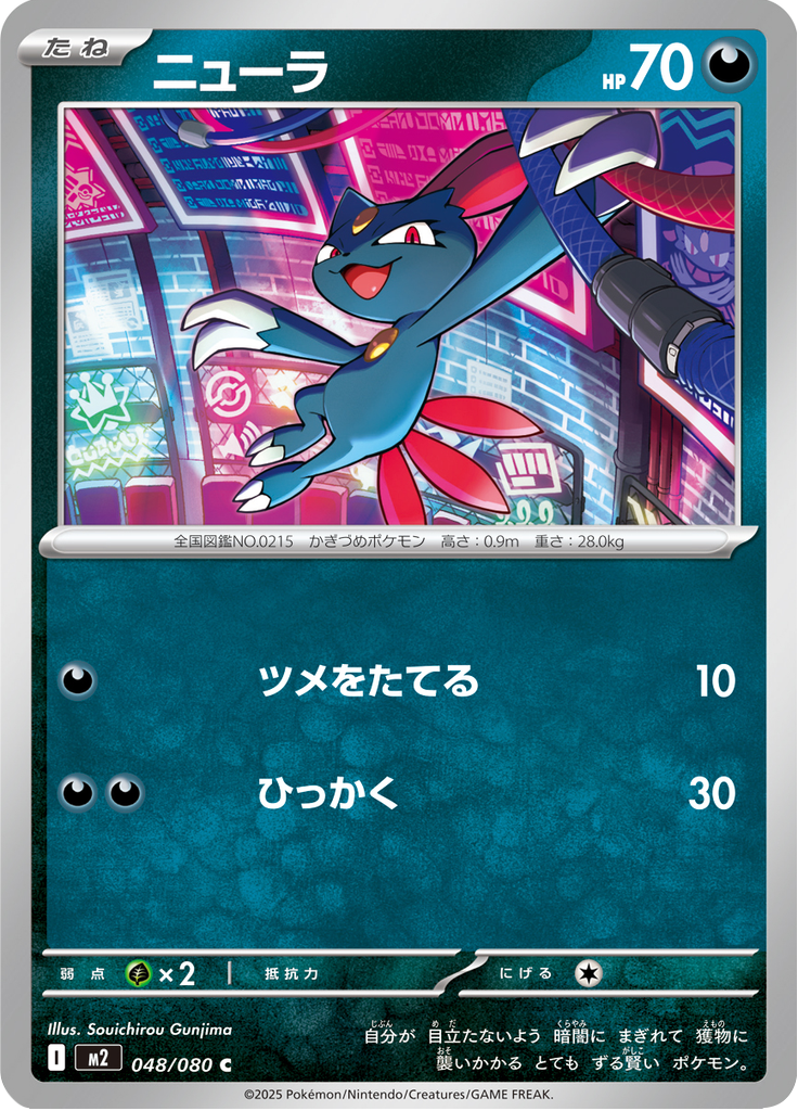 Vue agrandie de Sneasel, carte 048/080