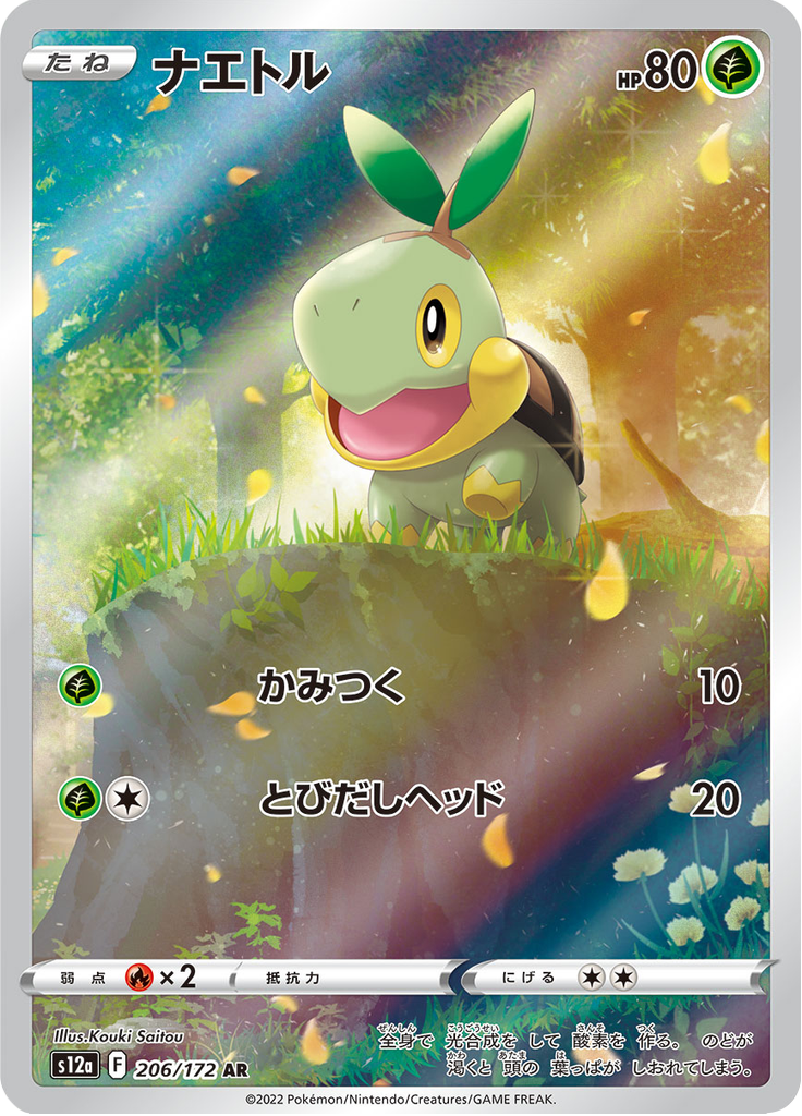 Vue agrandie de Turtwig, carte 206/172