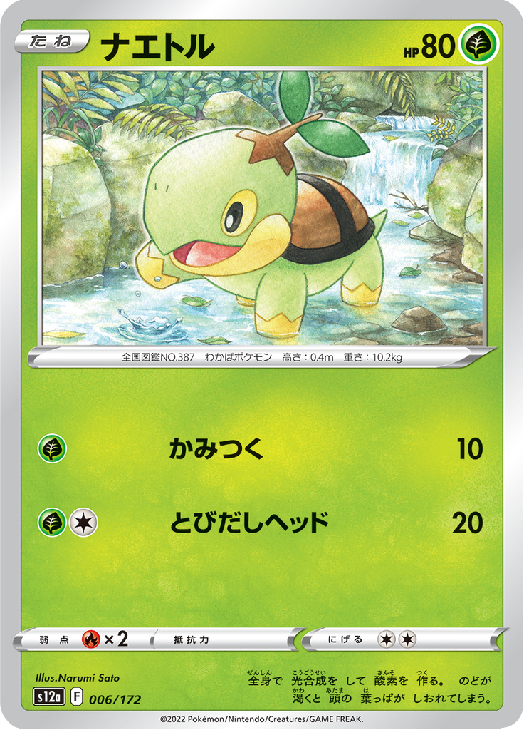 Vue agrandie de Turtwig, carte 006/172