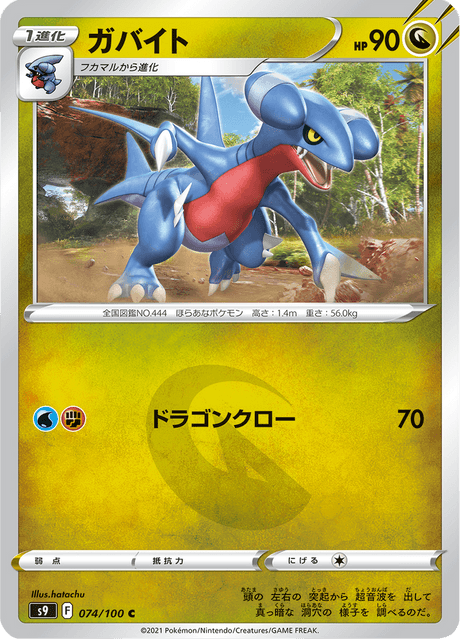 Enlarged view of Gabite, card 074/100