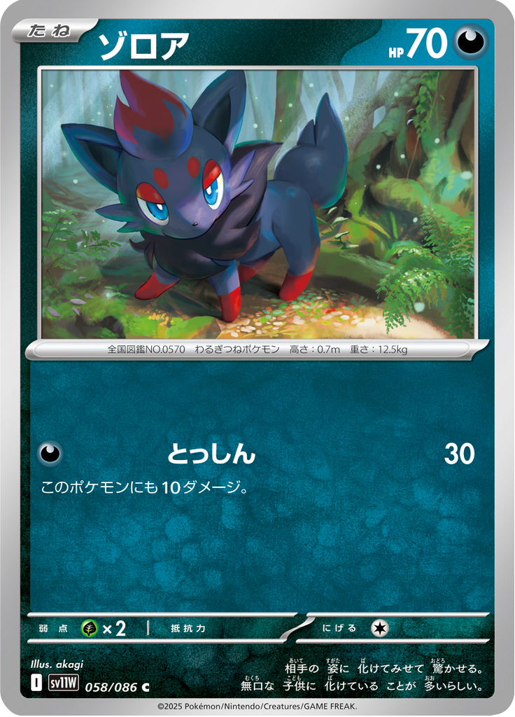 Vue agrandie de Zorua, carte 058/086