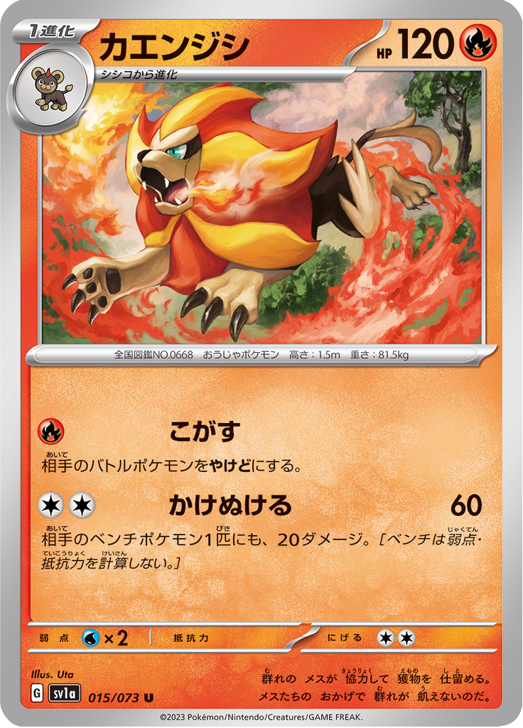 Vue agrandie de Pyroar, carte 015/073