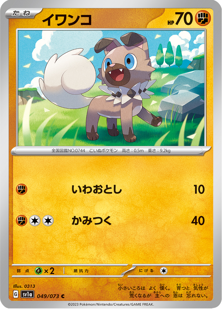 Vue agrandie de Rockruff, carte 049/073