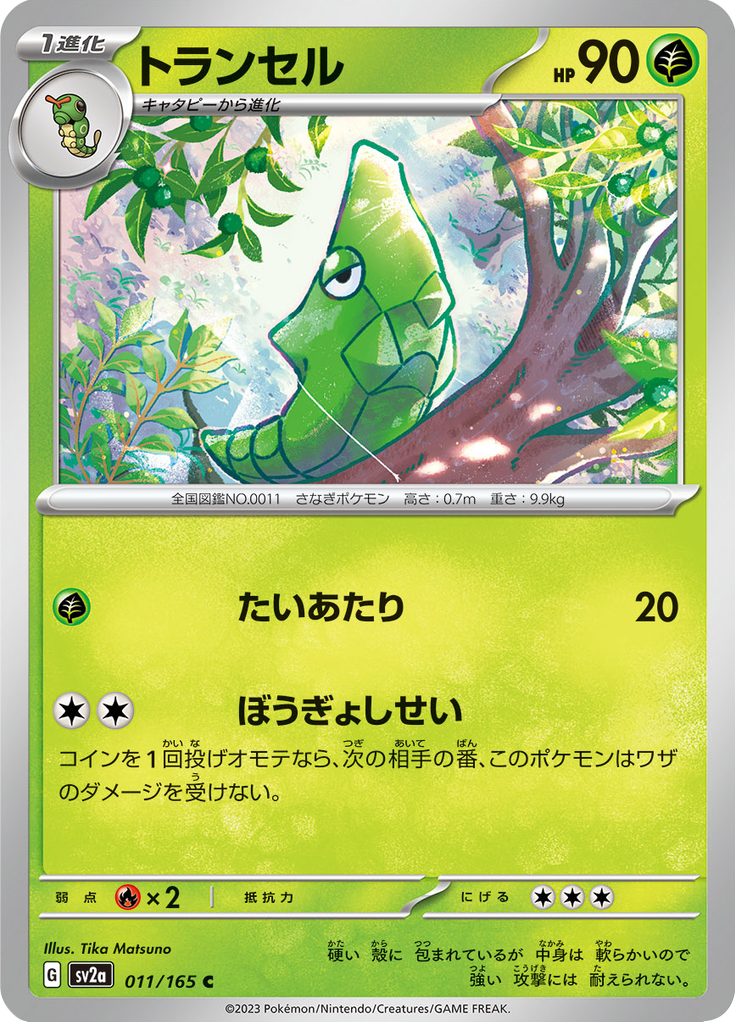 Vue agrandie de Metapod, carte 011/165