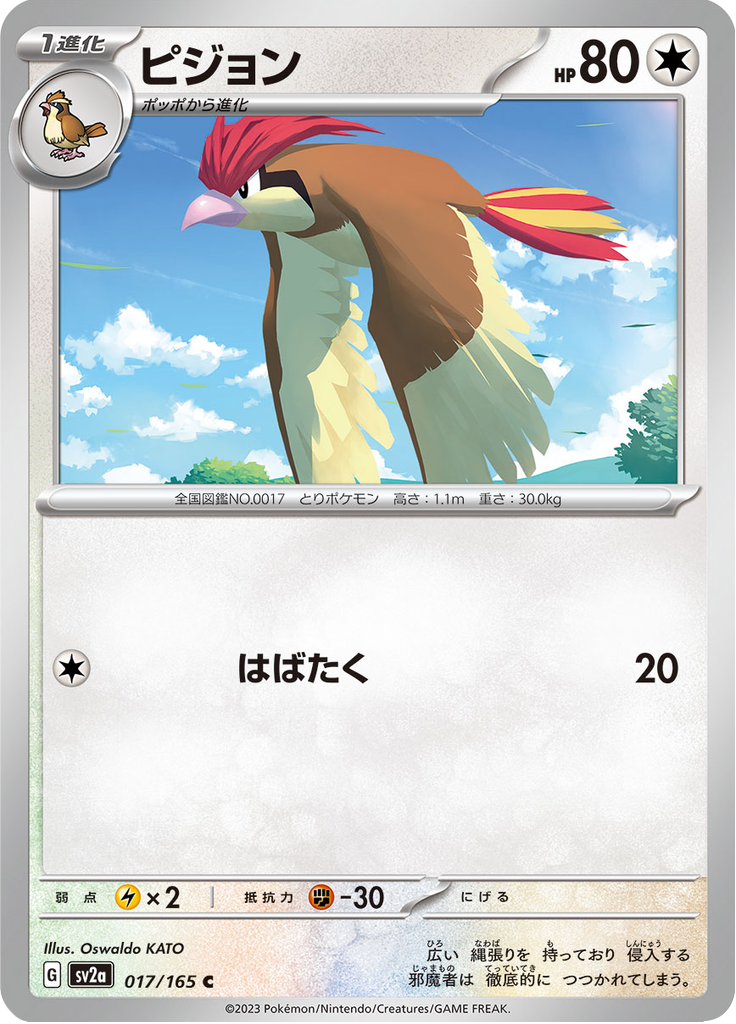 Vue agrandie de Pidgeotto, carte 017/165
