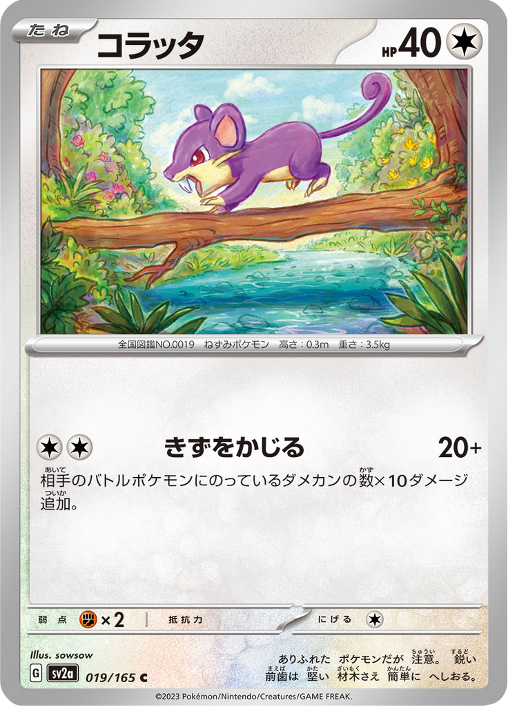 Vue agrandie de Rattata, carte 019/165