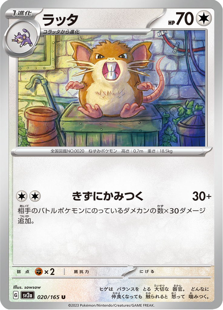 Vue agrandie de Raticate, carte 020/165