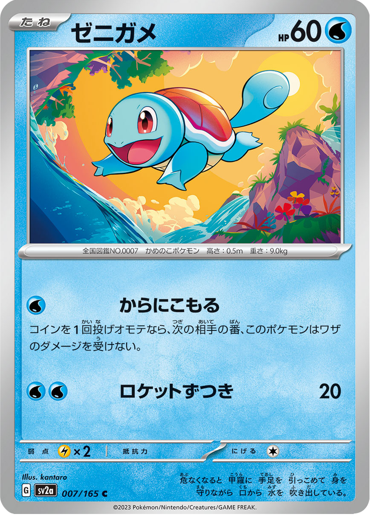Vue agrandie de Squirtle, carte 007/165