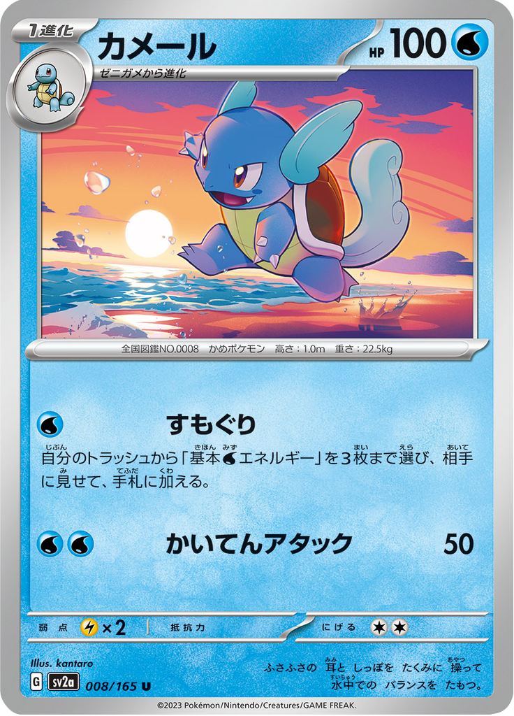 Vue agrandie de Wartortle, carte 008/165
