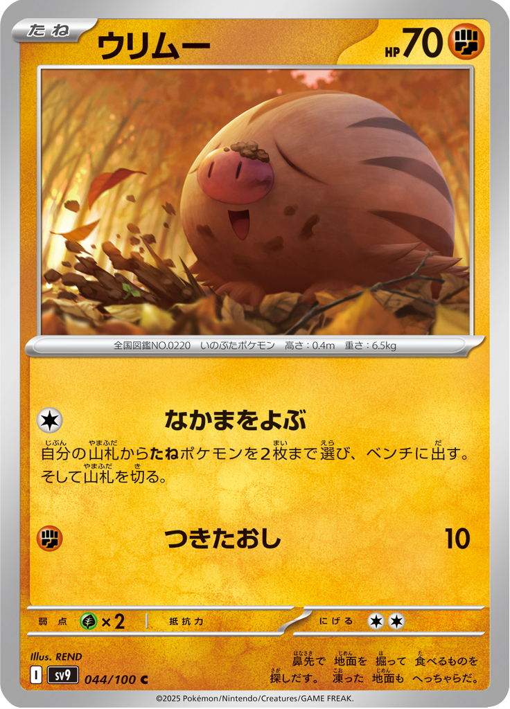 Vue agrandie de Swinub, carte 044/100