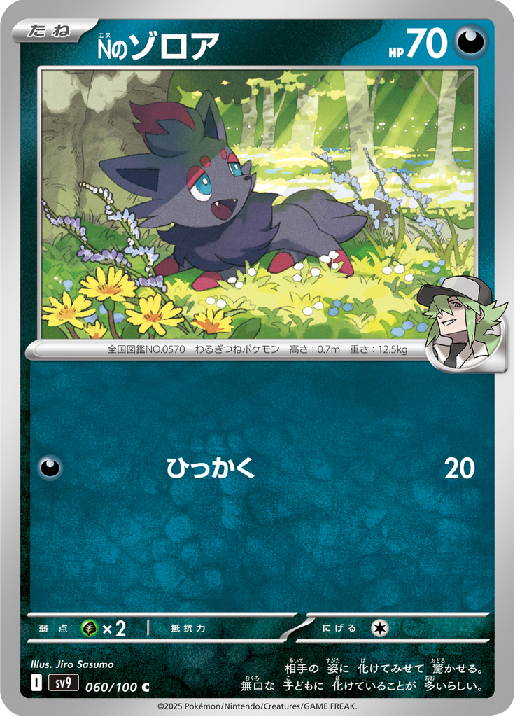 Vue agrandie de N's Zorua, carte 060/100