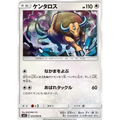 Carte Pokémon Japonaise Tauros – sm11 Miracle Twin #072 - Poke-Geek