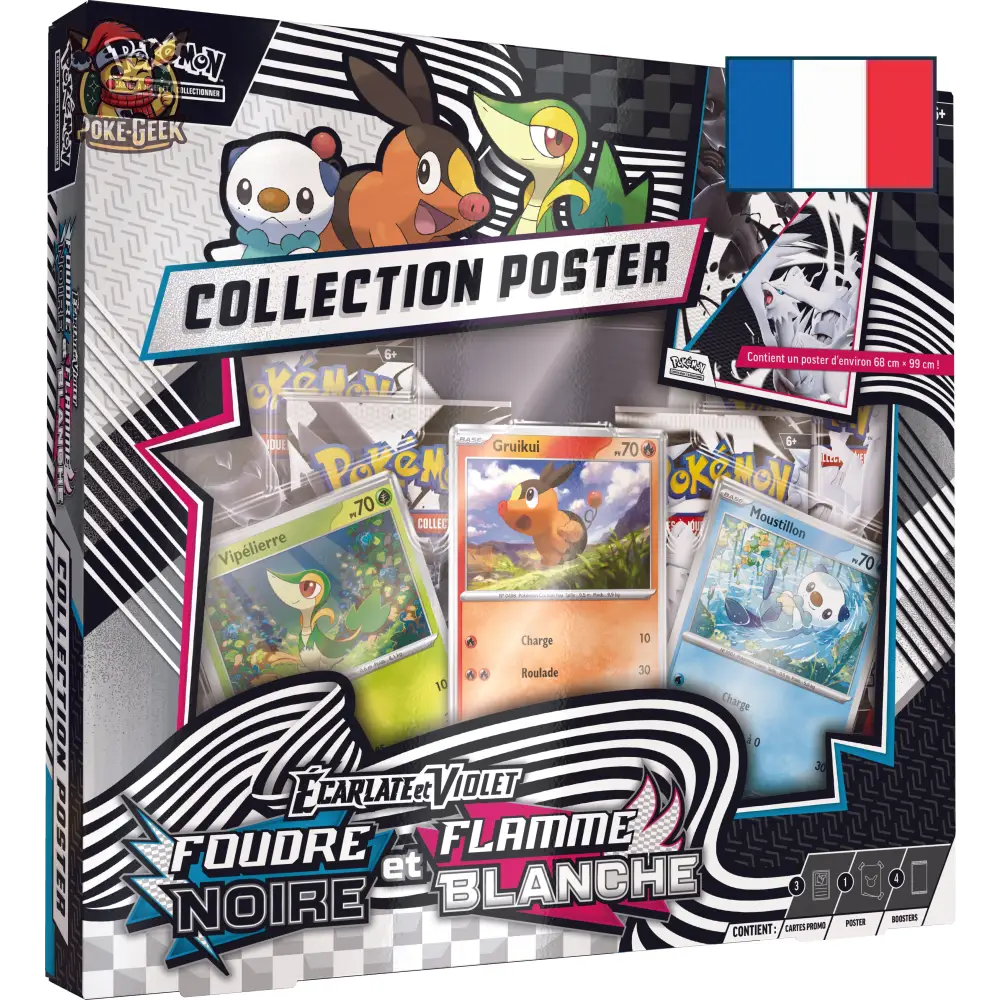 Collection Poster Écarlate et Violet EV10.5 – Foudre Noire et Flamme Blanche – FR