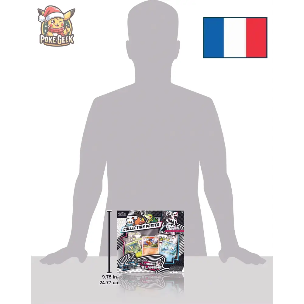 Collection Poster Écarlate et Violet EV10.5 – Foudre Noire et Flamme Blanche – FR