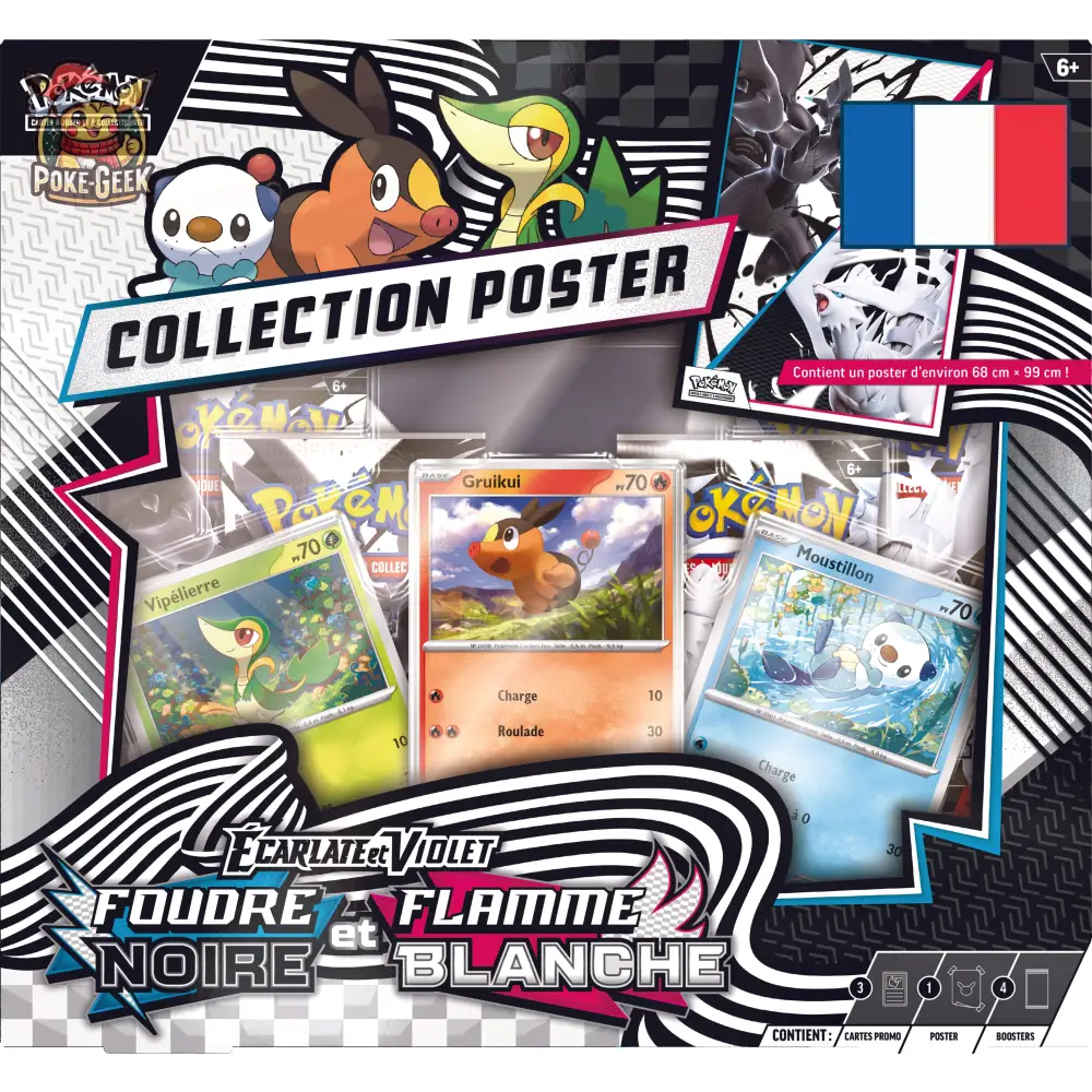 Collection Poster Écarlate et Violet EV10.5 – Foudre Noire et Flamme Blanche – FR