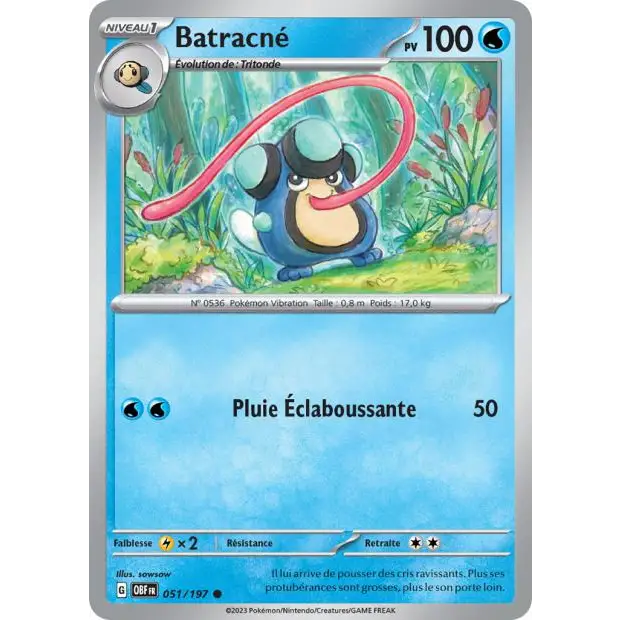Commune - Pokemon - Flammes Obsidiennes - Batracné 51/197