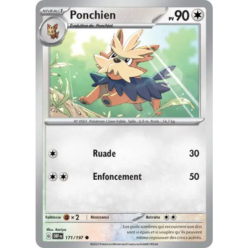 Poke-Geek
