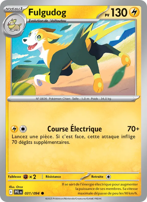 Fulgudog 31/94 — ME02 – Flammes Fantasmagoriques