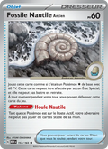 Fossile Nautile Ancien 153/165 — EV03.5 — 151