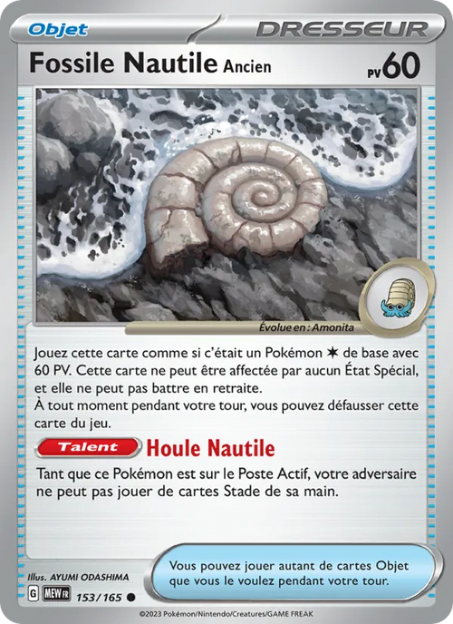Fossile Nautile Ancien 153/165 — EV03.5 — 151