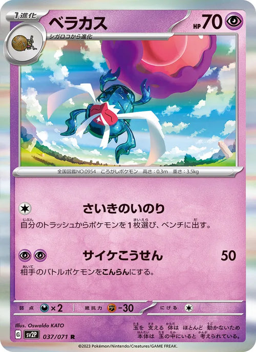 Bérasca 37/71 — SV2P – Snow Hazard