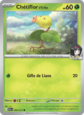 Chétiflor d'Erika 4/217 — ME02.5 – Héros Transcendants