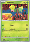 Chétiflor 69/165 — EV03.5 — 151