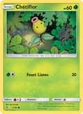 Chétiflor 1/145 — SL2 – Gardiens Ascendants
