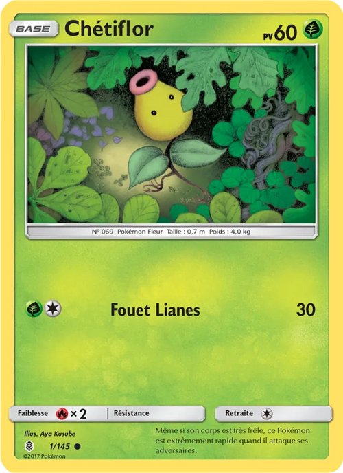 Chétiflor 1/145 — SL2 – Gardiens Ascendants