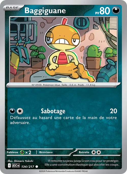 Baggiguane 134/217 — ME02.5 – Héros Transcendants