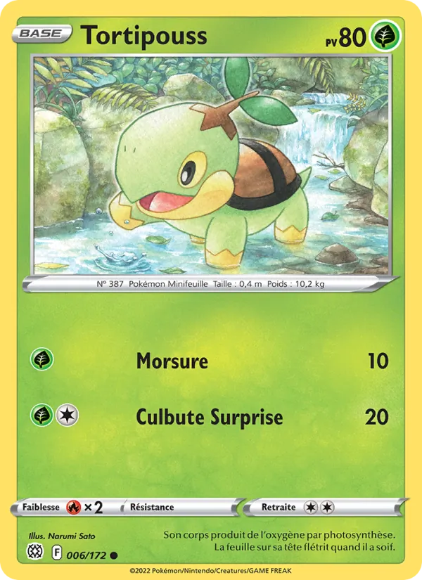 Tortipouss 6/172 — EB09 - Stars Etincelantes — Carte Pokémon française