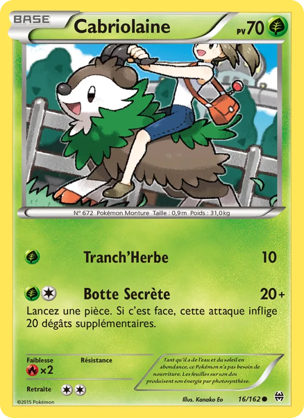Cabriolaine 16/162 — XY8 – Impulsion Turbo