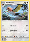 Braisillon 110/145 — SL2 – Gardiens Ascendants