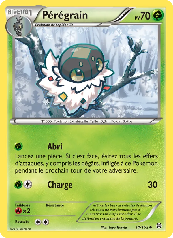 Pérégrain 14/162 — XY8 – Impulsion Turbo