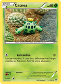 Cacnea 4/162 — XY8 – Impulsion Turbo