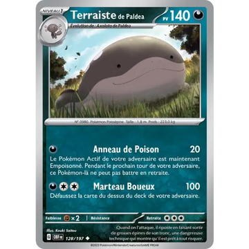 Poke-Geek