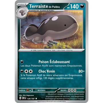 Poke-Geek
