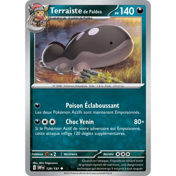 Poke-Geek