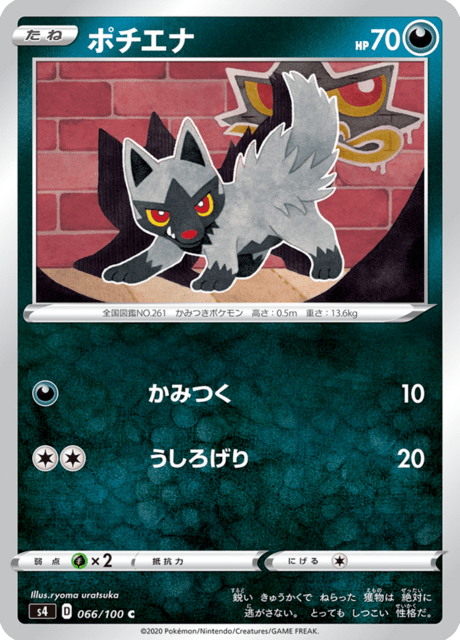 Vue agrandie de Poochyena, carte 066/100