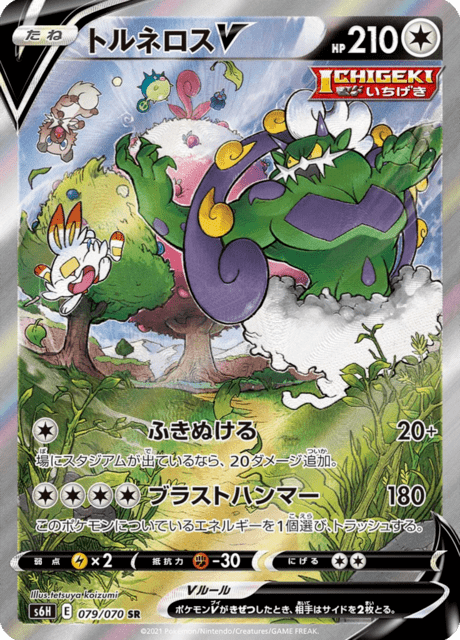 Vue agrandie de Tornadus V, carte 079/070
