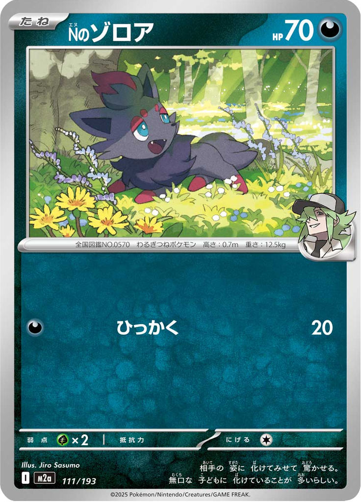Vue agrandie de N's Zorua, carte 111/193