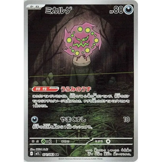 Poke-Geek
